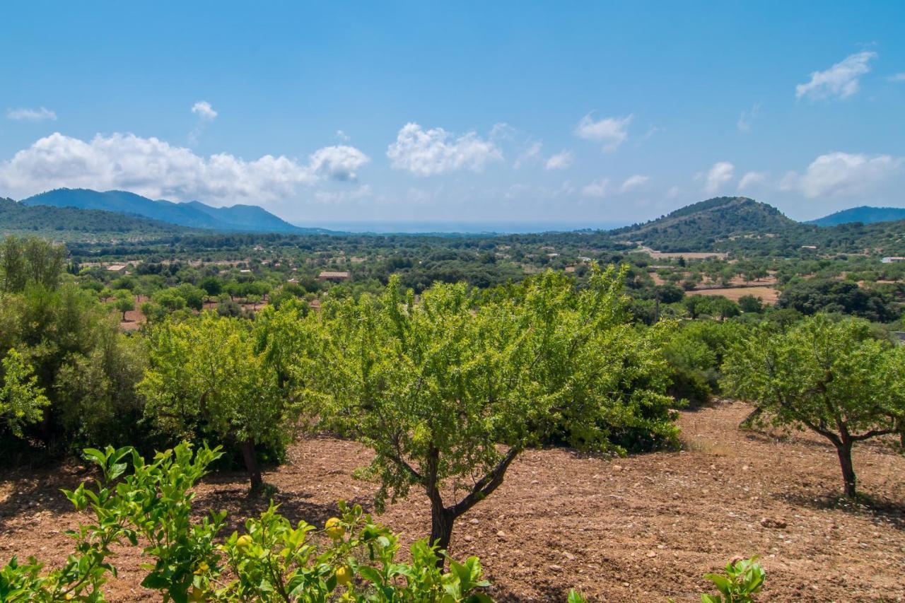 Villa Es Serva Son Servera (Mallorca)